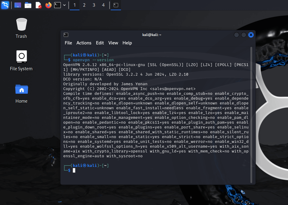 OpenVPN Kali Linux THM