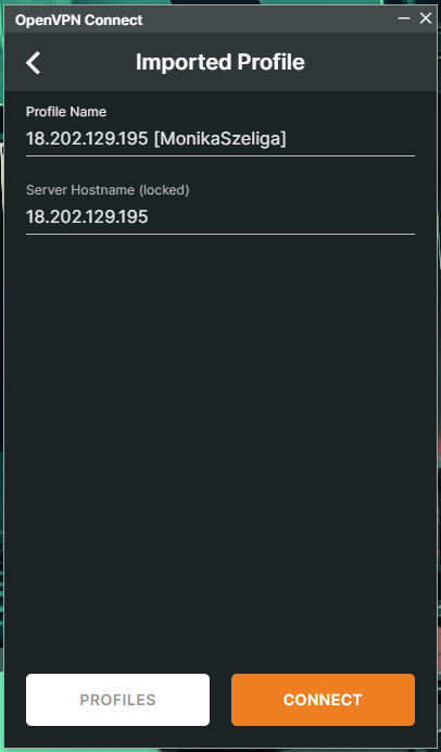 windows openvpn THM